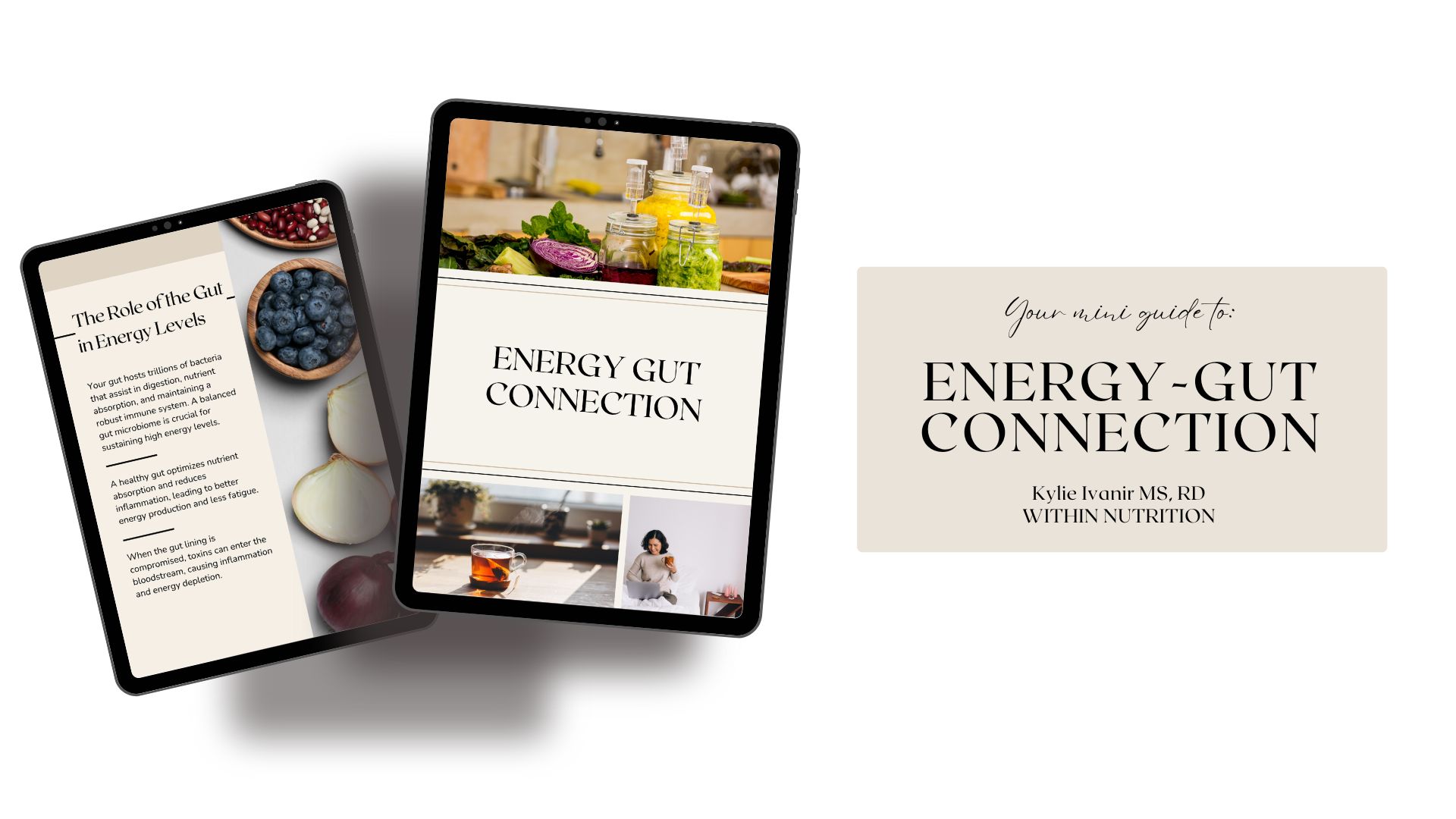 Free Energy-Gut Connection guide for better digestion and health.