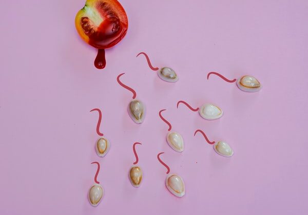 fertility food