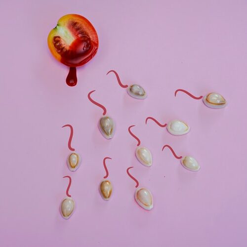 fertility food
